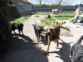 afb_20160506 (134)